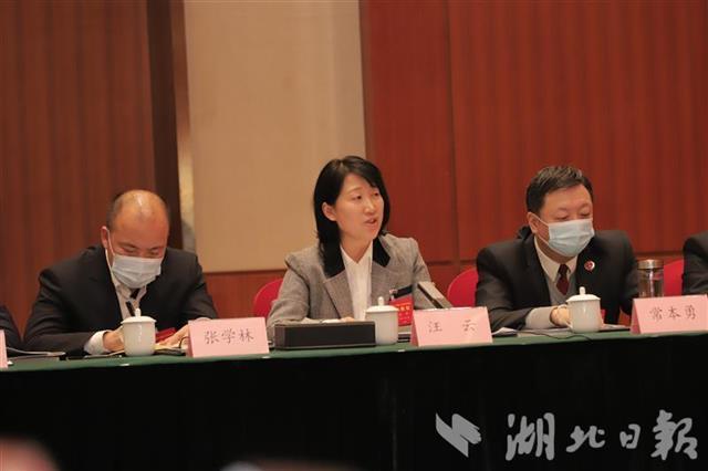 省人大代表汪云:3年提交13条建议,只为补足襄阳高等教育发展短板